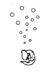 EMBRION