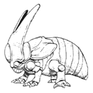 LARVA