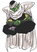 PICCOLO MEDITANDO