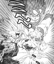 KAME HAME HA COMBINADO