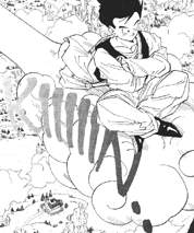 SON GOHAN