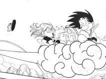 GOKUH Y ARALE