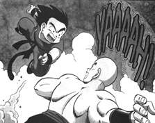 GOKUH VS TEN SHIN HAN