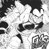 GOKUH VS RADITZ