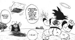 ENTRENANDO CON KAIOH SAMA