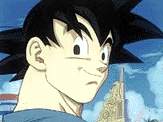 ADIOS GOKUH