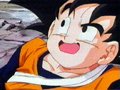 GOTEN EN EL SUELO