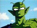 PICCOLO