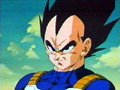 APARECE VEGETA
