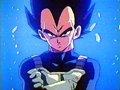APARECE VEGETA