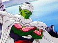 PICCOLO