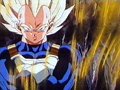 APARECE VEGETA