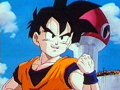 GOHAN